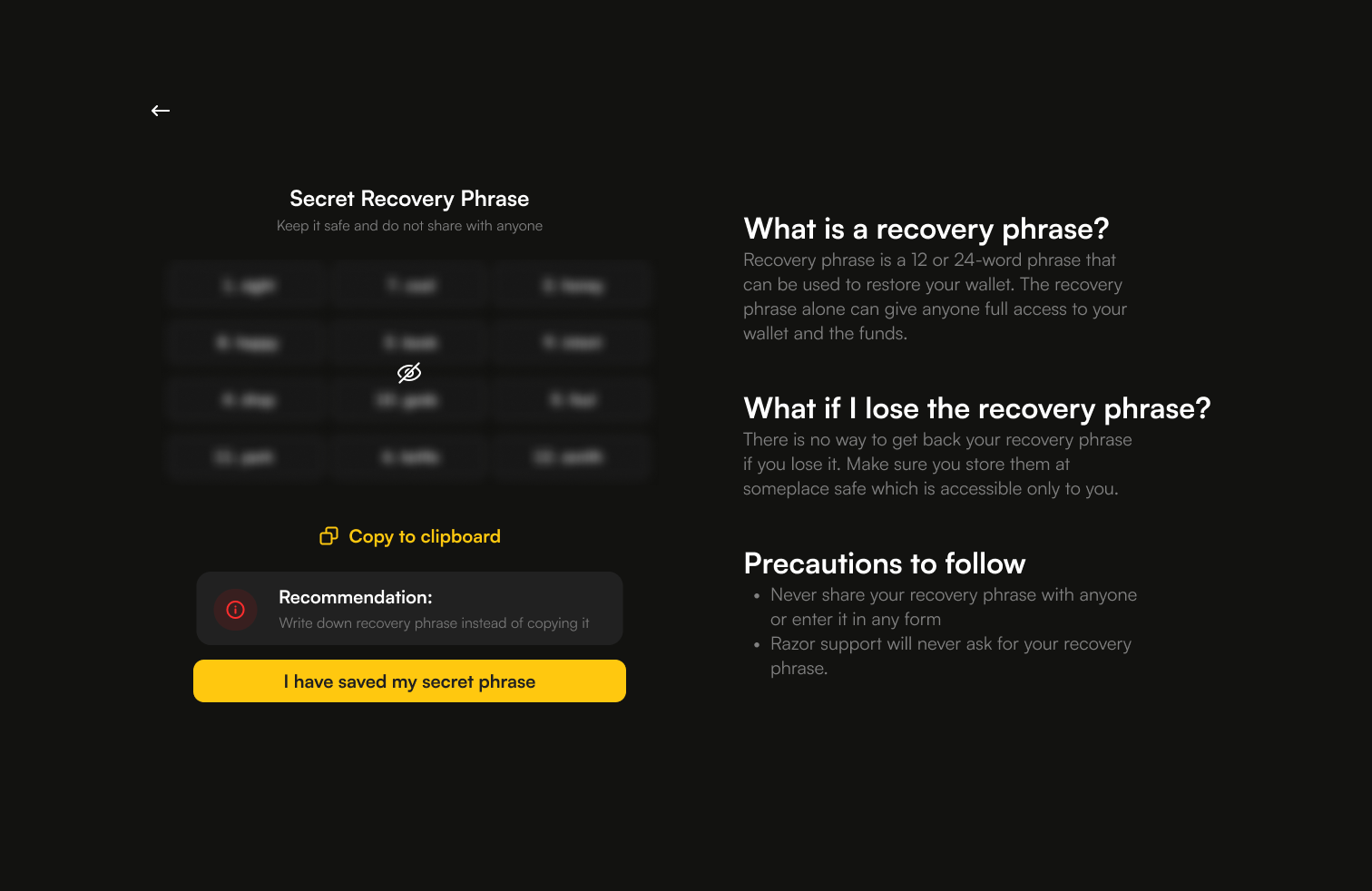 Razor Wallet secret recovery phrase screen with copy and safety guidance